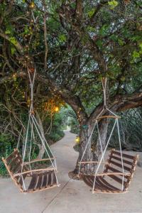 阿马卡拉保护区Safari Lodge - Amakhala Game Reserve的相册照片