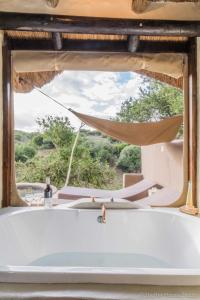 阿马卡拉保护区Safari Lodge - Amakhala Game Reserve的相册照片