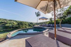 Safari Lodge - Amakhala Game Reserve内部或周边的泳池
