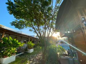 Zahrada ubytování Kalachuchi Inn 薄荷雞蛋花旅宿