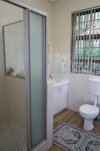 a bathroom with a shower and a toilet and a sink at Sea View in Wilderness