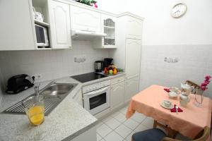 A kitchen or kitchenette at Mozart Apartments - Rögergasse