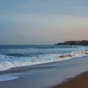 una playa con el océano y las olas en Elmswood Guest House, en South Shields