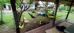 a woman laying in a hammock in a yard at ESA di Kubu Homestay in Singaraja