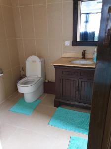 een badkamer met een toilet en een wastafel bij Admiralmahé in Mahébourg