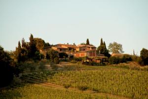 une maison au milieu d'un champ de vignes dans l'établissement Casina Di Cornia, à Castellina in Chianti