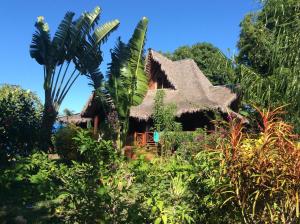 a house with a palm tree in front of it at LES CHALETS DE MELINDA in Nosy Be