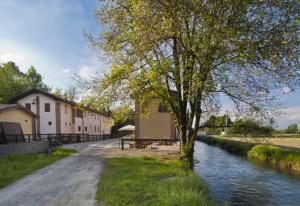 a tree on the side of a road next to a river at Ostello Molino Di Basso in Roccafranca