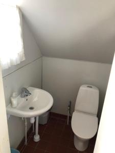 a small bathroom with a toilet and a sink at Tofta Bed & Breakfast in Tofta