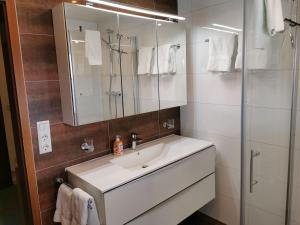 a bathroom with a sink and a shower with a mirror at Ferienhaus-Haidweg-Wohnung-2 in Haidmühle