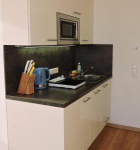 Kuchnia lub aneks kuchenny w obiekcie 214 Salzburg, Studio Apartment, 30m2, 2-4 Personen