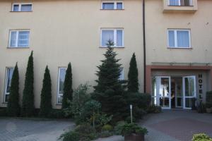 a building with a christmas tree in front of it at Hotel Przylesie in Sierosław