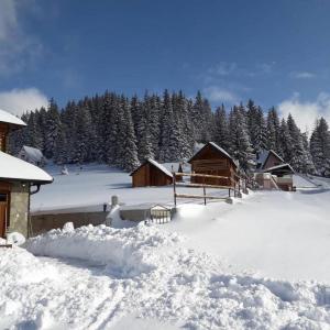 Resort Skrivena að vetri til