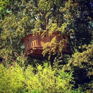 a wooden boat sitting in the middle of a forest at Le Domaine de Wail - Legends Resort in Wail