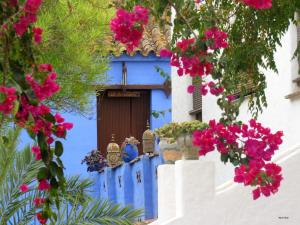 a blue building with pink flowers in front of it at Huerta La Cansina in Mairena del Alcor