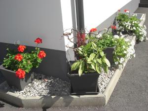 Ogród w obiekcie die Gartenwohnung - Tanja Tipotsch