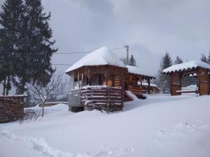 Milana Guesthouse žiemą