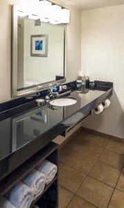 a bathroom with a sink and a mirror at Crowne Plaza Hotel and Suites Pittsburgh South, an IHG Hotel in Pittsburgh