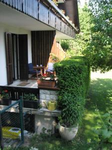 une haie verte sur le côté d'une maison dans l'établissement Apartments Poldi, à Bled