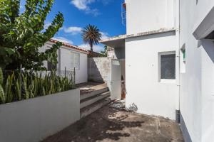 una calle en una casa blanca con una palmera en My home | Azores en Ponta Delgada