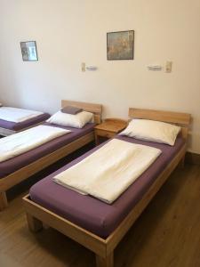a room with three beds in a room at Hotel Pension Schmellergarten in Munich
