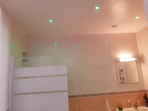 a bathroom with a shower and a sink at la Casa D'estève in Bourges +18 photos