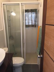 a bathroom with a shower and a toilet at The View at Glenloch - Home Stay in Tawalantenna