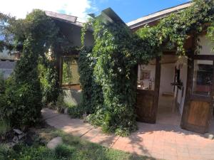 una casa cubierta de hiedra con una puerta en Pura Vida Hostel en El Bolsón