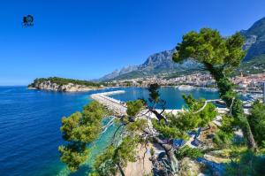 an aerial view of a bay with trees at Apartments Makarska Gudelj Cvitan in Makarska