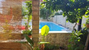 a swimming pool in a garden with a plant at Villa Mateja in Novalja