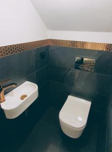 a bathroom with a white sink and a toilet at Koniakowo - dom Hunter in Koniaków
