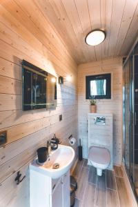 łazienka z umywalką i toaletą w obiekcie Domek na drzewie Oddech w Nałęczowie
