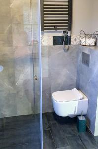 a bathroom with a toilet and a glass shower at Koniakowo - dom Albino in Koniaków +22 photos