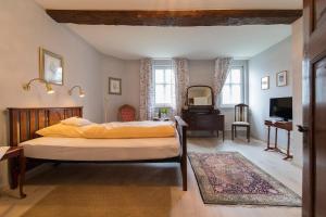 a bedroom with a bed and a desk and a mirror at Hotel Kavaliershaus/Schloss Bad Zwesten in Bad Zwesten