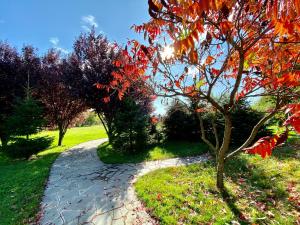 un árbol con hojas rojas en un camino en Yaev Family Hotel, en Karlovo