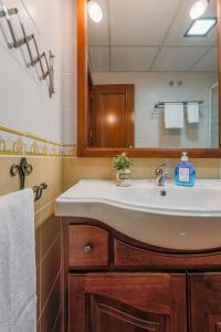 a bathroom with a sink and a mirror at Descanso-elegancia en Sevilla Parking Gratuito in Seville