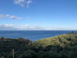 uma vista para o oceano de uma colina com árvores em Αgrilitsa House em Vasilítsion