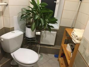 a bathroom with a toilet and a potted plant at K.G. Apartment in Ventspils
