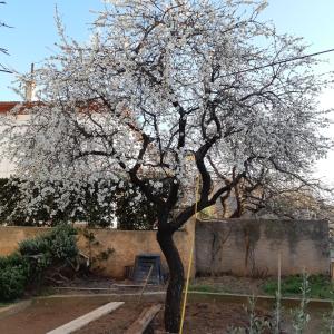 塞尼Apartments Dada的相册照片