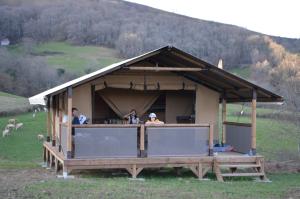 Gallery image of Borda Lodge in Jaxu