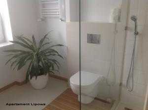 a bathroom with a toilet and a plant at Pokoj24h Apartamenty Lipowa in Białystok