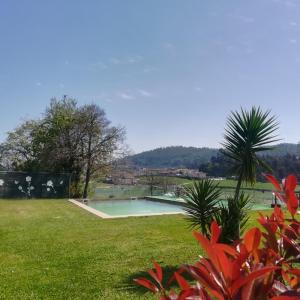 
a grassy area with a pool of water and trees at Quinta Sao Miguel de Arcos in Vila do Conde
