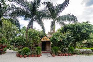 un pequeño edificio con palmeras en un jardín en Eden jungle resort, en Sauraha