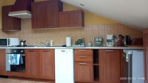 a kitchen with wooden cabinets and a white dishwasher at Apartament w domu na wsi in Tomaszów Lubelski