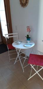 ein weißer Tisch und ein Stuhl mit einer Pflanze darauf in der Unterkunft Ca da la nona in Cavigliano