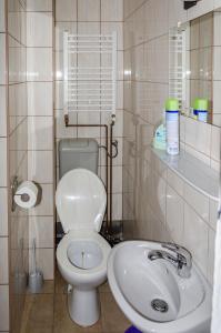 a bathroom with a white toilet and a sink at Siesta Vendégház in Miskolctapolca