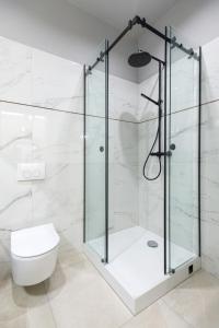 W łazience znajduje się przeszklony prysznic i toaleta. w obiekcie LUXURY Apartment at the Main Square w Krakowie