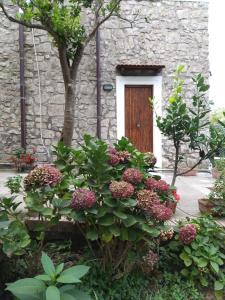 Zahrada ubytování B&b 1787 in Montechiaro