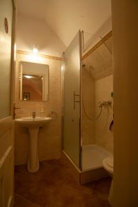 Ένα μπάνιο στο Casa din Parc +52 φωτογραφίες
