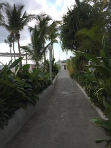 a path with palm trees on the side of a beach at TERRAZAS DEL CARIBE, APARTA HOTEL. in Santo Domingo